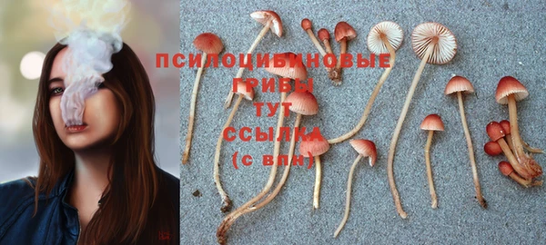 герыч Пересвет