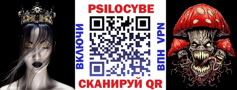 Галлюциногенные грибы Psilocybine cubensis где найти shop какой сайт Сертолово