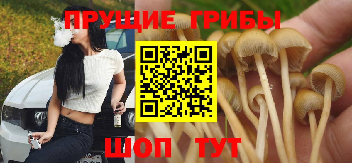Псилоцибиновые грибы GOLDEN TEACHER Сертолово
