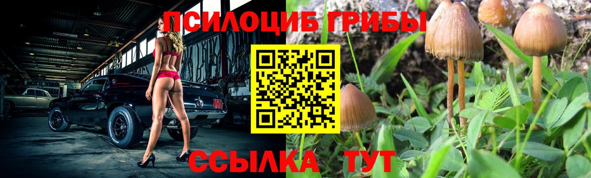 Сертолово  Псилоцибиновые грибы Magic Shrooms  Вход с VPN 
